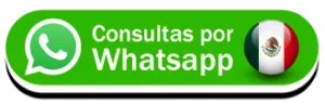 WhatsApp Consulta
